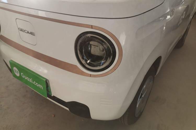 Used  Panda 2024 Panda Mini 200km Endurance Bear
