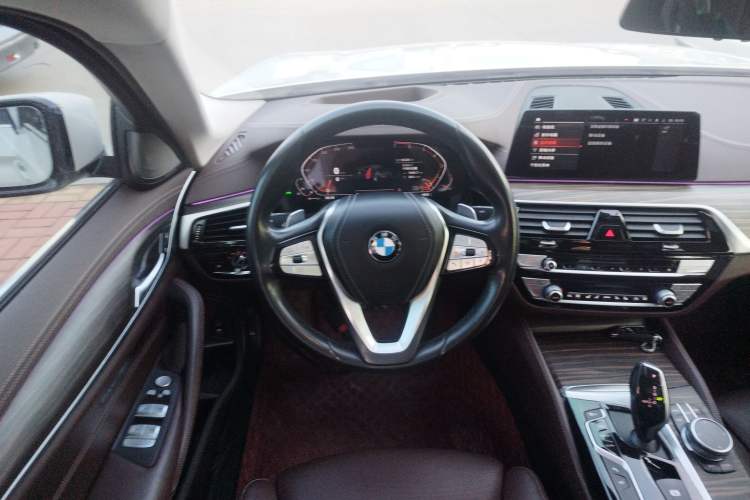 Used BMW 5 Series 2020 530Li Luxury Edition Premium Package