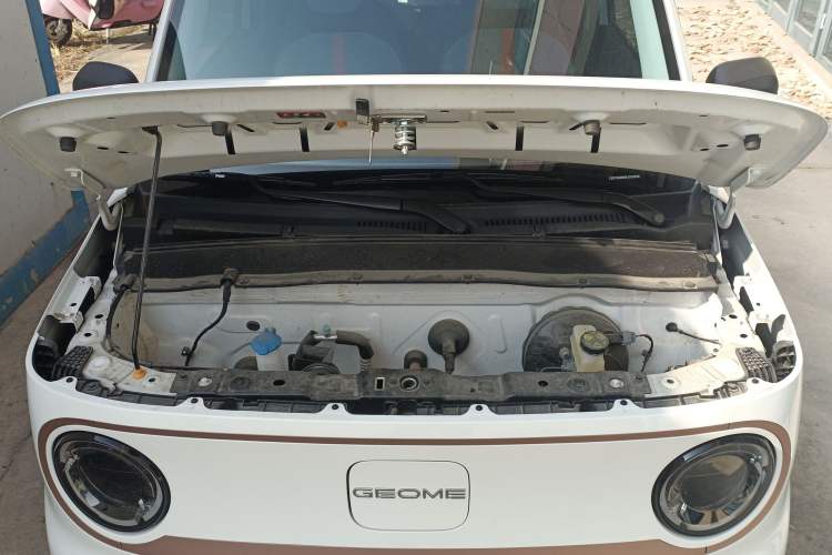 Used  Panda 2024 Panda Mini 200km Endurance Bear
