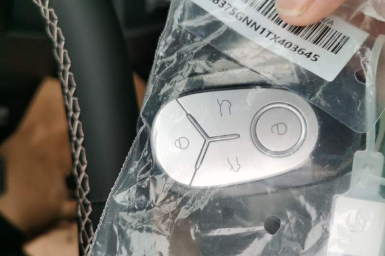 Used  Geome 2026 Model 310km Dream Edition
