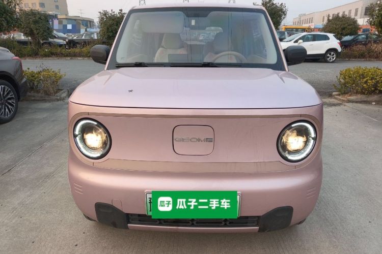 Used  Panda 2024 Panda Mini 200km Endurance Bear