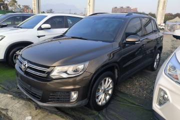 Used Volkswagen Tiguan 2017 300TSI Automatic Two-Wheel Drive Silk Road Luxury Edition