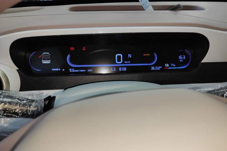 Used  Panda 2025 210 km – Yuanqi Bear