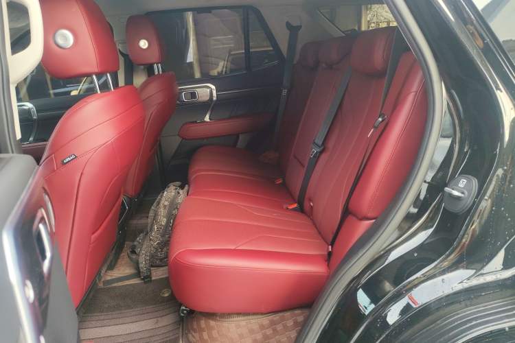 Used Tank 400 New Energy 2024 Hi4-T City Edition