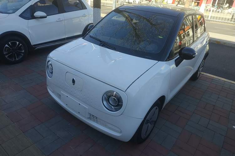 Used ORA Black Cat 2021 301 km Basic Version
