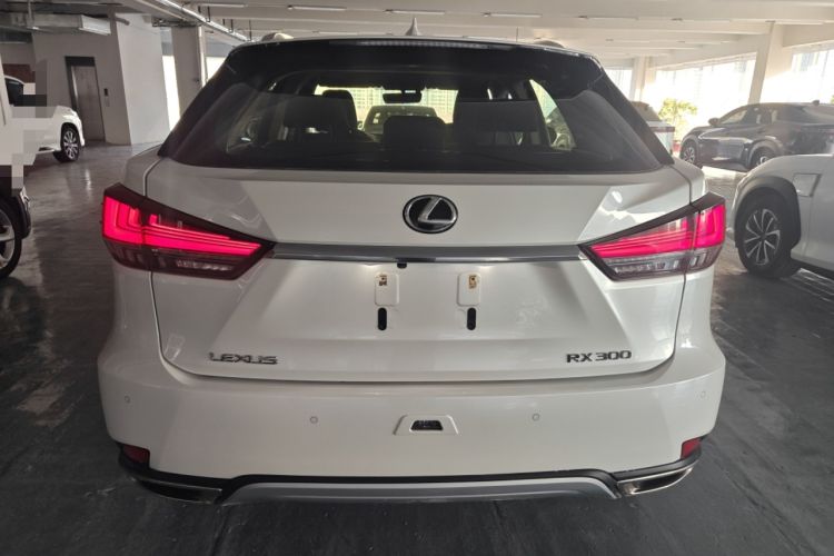 Used Lexus RX 2020 300 Two-Wheel Drive Elite Edition China VI Standard
