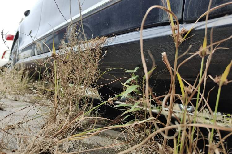 Used Volkswagen Passat 2016 330TSI DSG Prestige Edition
