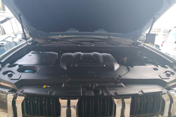 Used Beijing Auto BJ60 2022 2.0T May Day Edition Five Seats