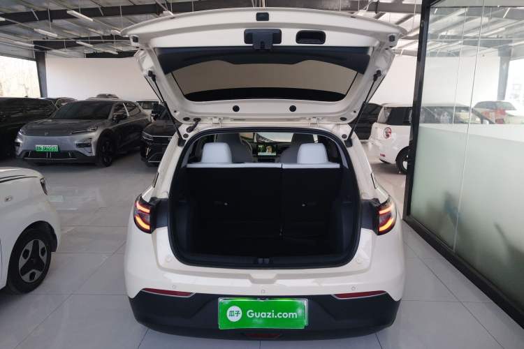 Used  Geome 2025 410 km Free Version