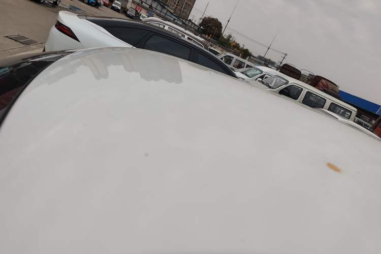 Used ORA White Cat 2020 305 km Luxury Version
