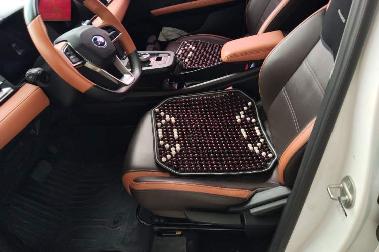 Used BYD e2 2021 Luxury Model
