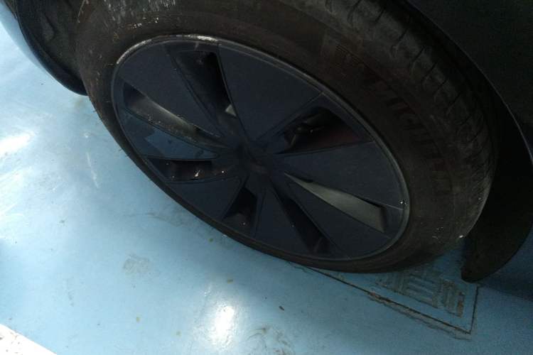 Used Tesla Model 3 2023 Rear-Wheel-Drive Version
