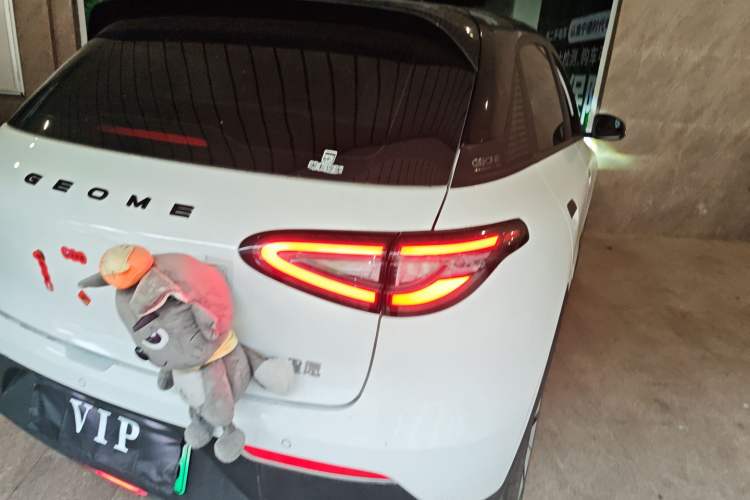 Used Geely Galaxy Geome 2025 310km Youth Edition