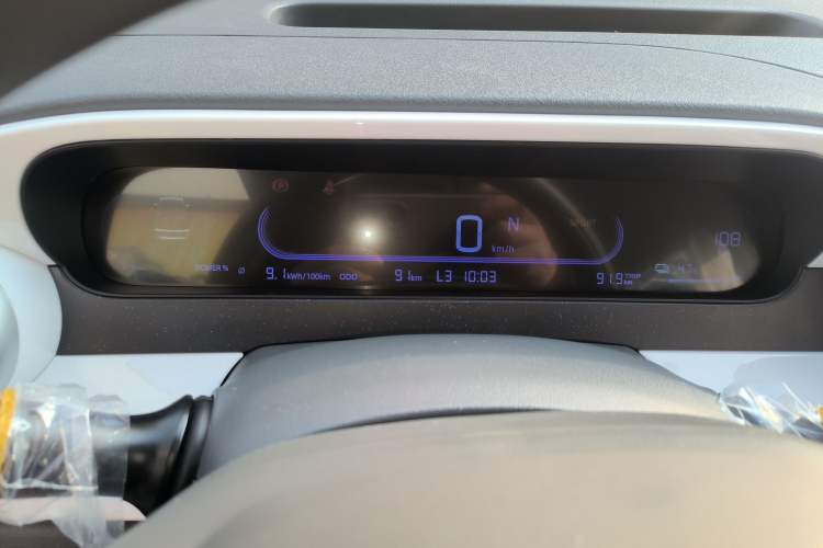 Used  Panda 2025 210 km – Yuanqi Bear
