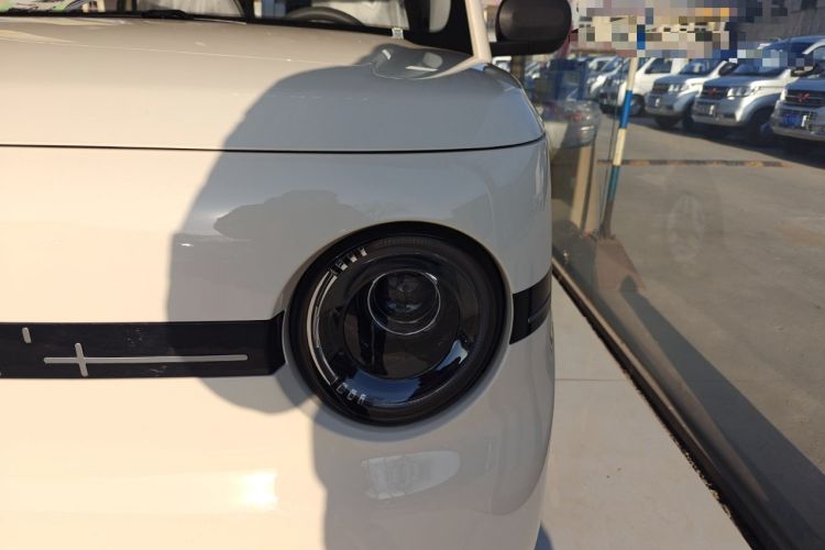 Used  Panda 2025 210 km – Yuanqi Bear