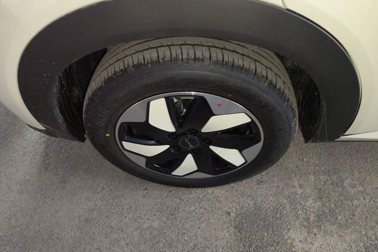 Used BYD Dolphin 2025 420km Free Edition
