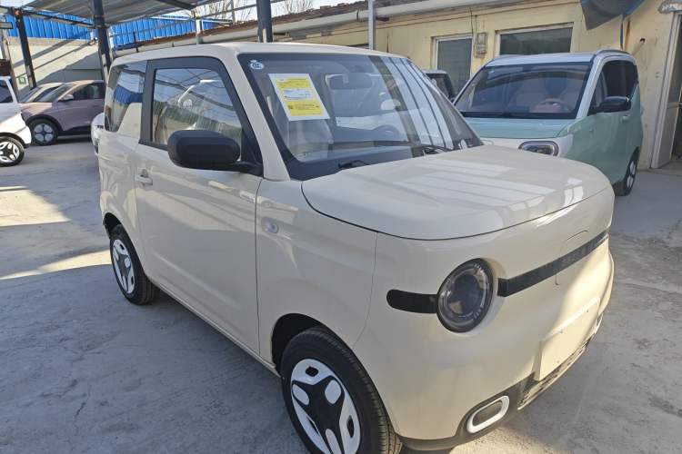 Used  Panda 2025 210 km – Yuanqi Bear