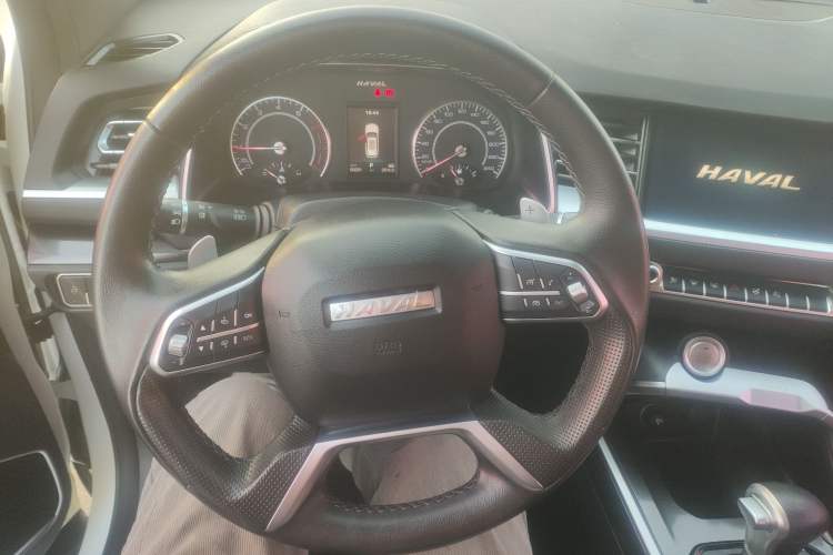 Used Haval H6 2017 Blue Label 1.5T Automatic Two-Wheel Drive ZhiShang Model
