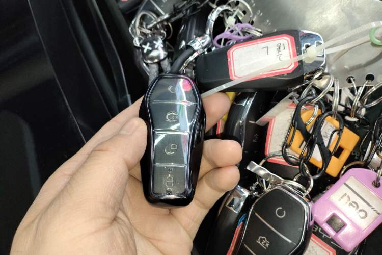 Used BYD Han 2023 DM-i Champion Edition 121KM Prestige Model