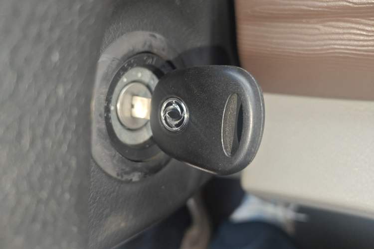 Used FORTHING Lingzhi 2019 M5 1.6L 7-Seater Luxury Model China VI Standard
