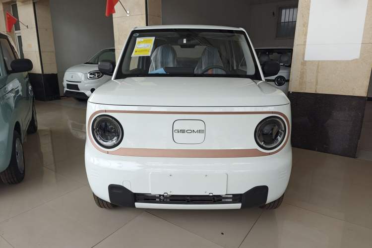 Used  Panda 2024 Panda Mini 200km Endurance Bear
