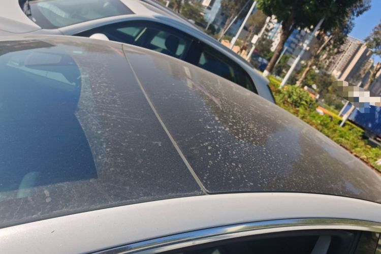 Used Tesla Model 3 2019 Standard Range Rear-Wheel Drive Upgraded Version (60 kWh)
