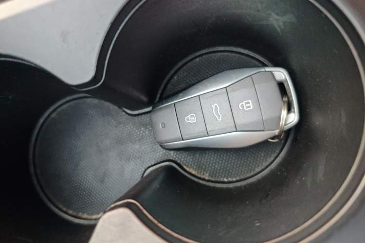 Used SOL E10X 2022 Flower Fairy Design Four-Leaf Clover