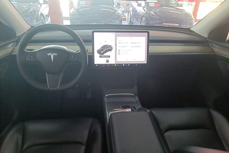 Used Tesla Model Y 2021 Standard Range Rear-Wheel Drive Version
