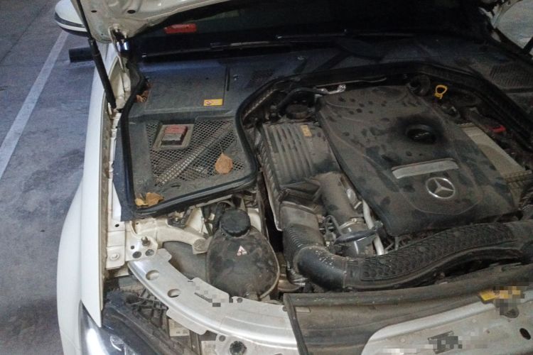 Used Mercedes-Benz C-Class 2015 C 200 L Sport Edition