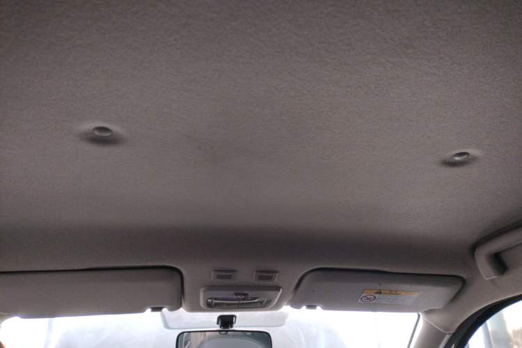 Used ORA Black Cat 2019 351 km Family Edition
