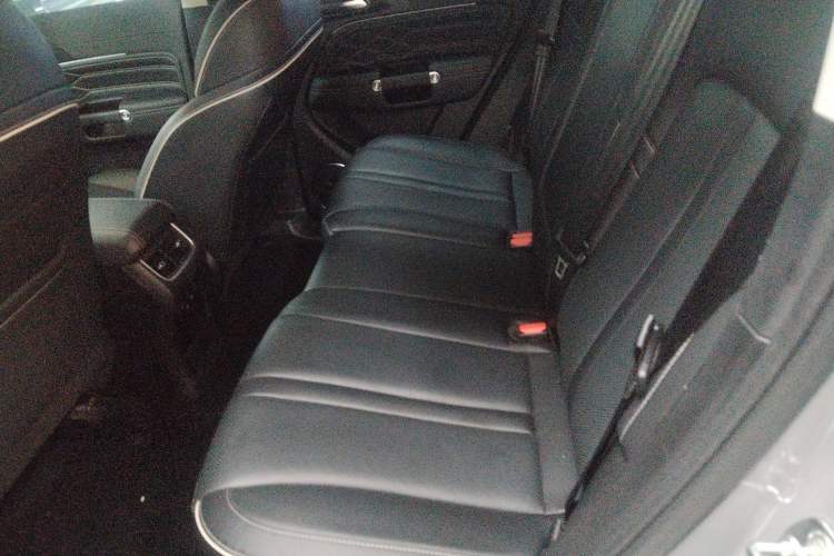 Used Tank 300 2024 2.0T Conqueror
