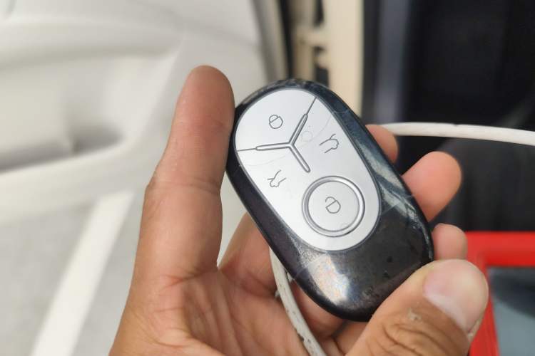 Used  Geome 2025 310km Dream Edition
