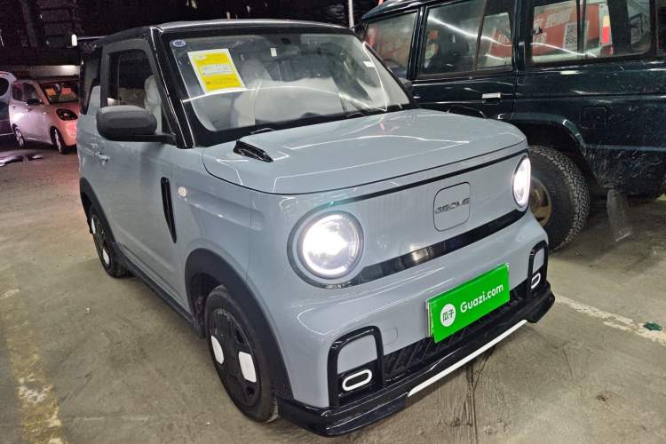 Used  Panda 2025 210km Panda Kart
