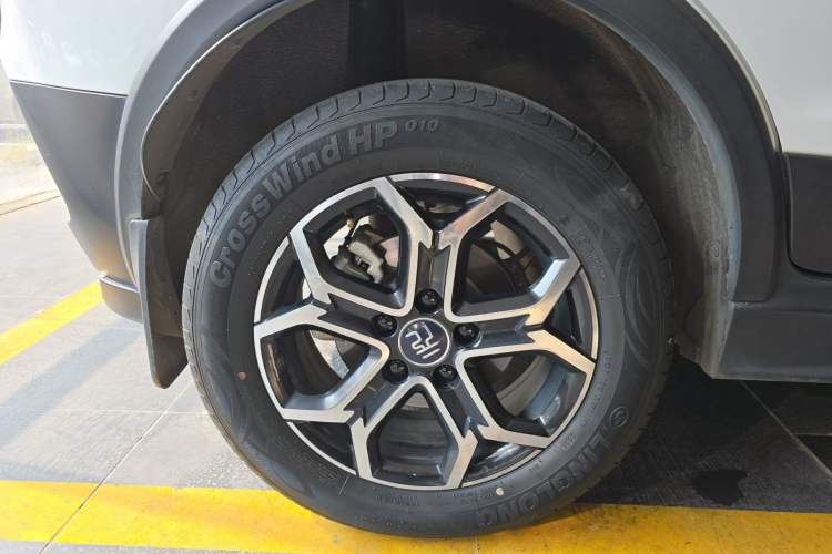 Used BYD Yuan Pro 2021 "Love for a Lifetime" Edition