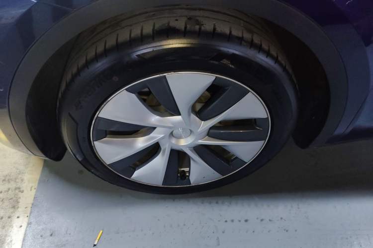 Used Tesla Model Y 2021 Standard Range Rear-Wheel Drive Version
