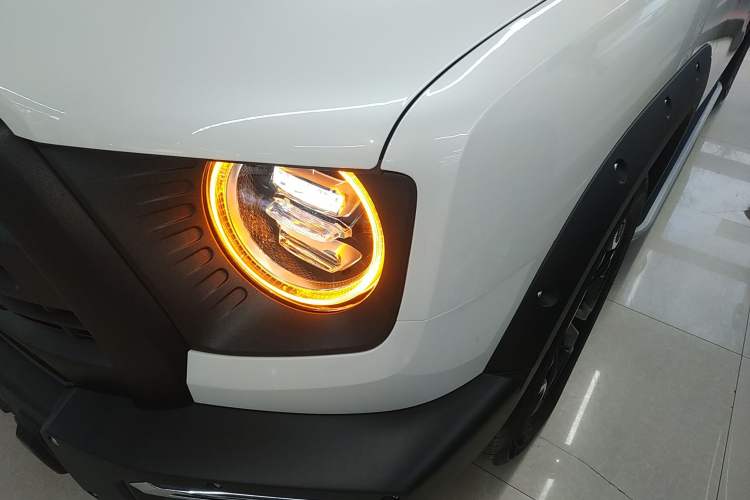 Used Haval DARGO 2024 2.0T DCT Chinese Rural Dog Edition
