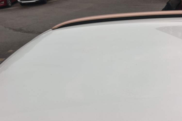 Used Dongfeng NAMMI EX1 2023 PRO Light Wind Edition Standard Model