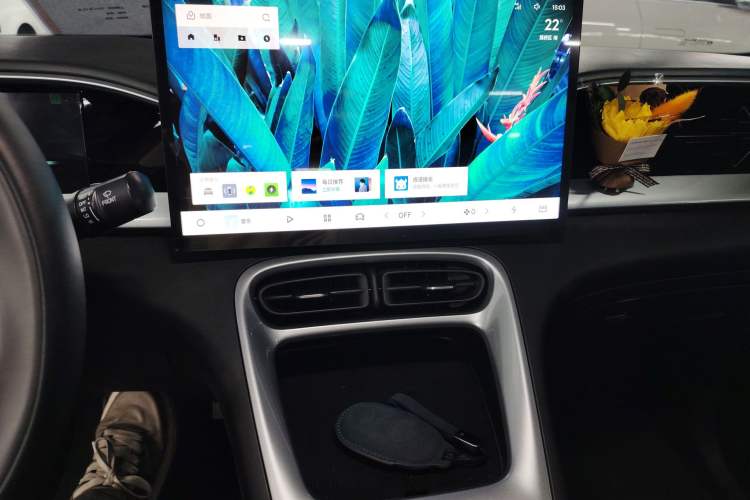 Used  Geome 2025 310km Dream Edition
