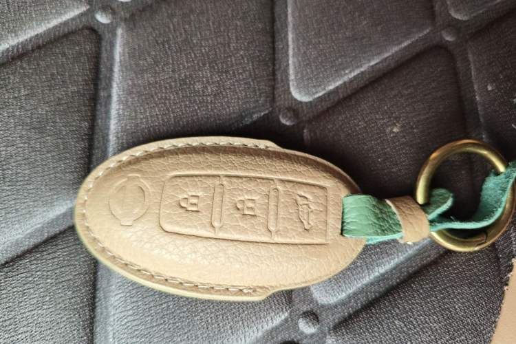 Used Nissan Lannia 2020 1.6L CVT Smart Connect Smart Cool Edition
