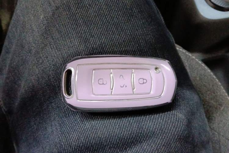 Used  Panda 2024 Panda Mini 200km Longteng PRO Edition