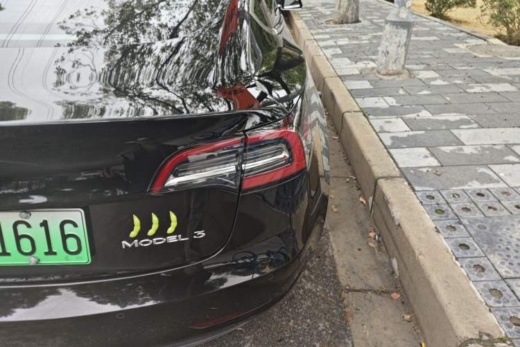 Used Tesla Model 3 2019 Standard Range Rear-Drive Upgraded Version