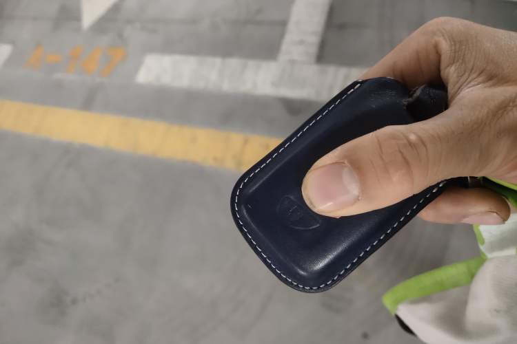 Used Lexus RX 2020 300 Two-Wheel Drive Elite Edition China VI Standard