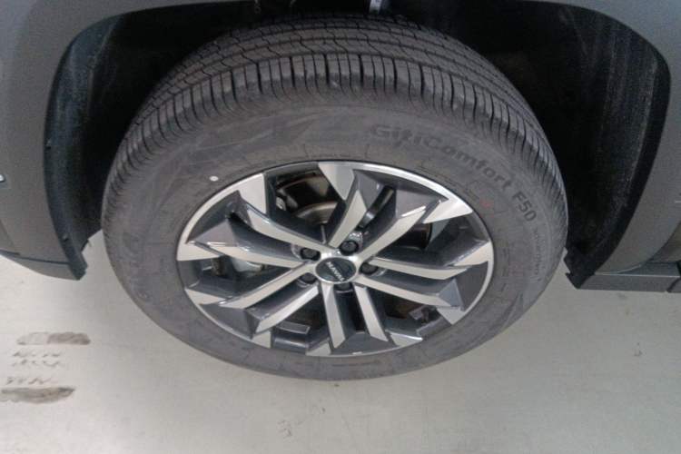 Used Haval H Dog 2023 2.0T Two-Wheel Drive Chaoye Version Plus
