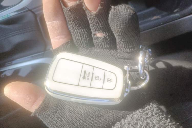 Used Toyota Corolla 2019 Dual-Engine 1.8L E-CVT GL-i Elite Edition