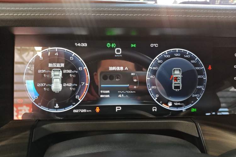 Used Tank 300 2024 2.0T Conqueror
