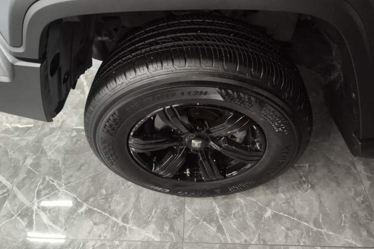 Used Tank 300 2024 2.0T Conqueror