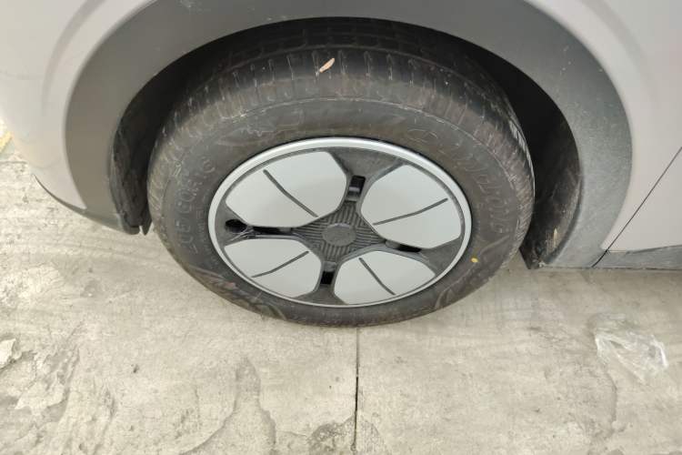 Used  Geome 2025 310km Youth Edition
