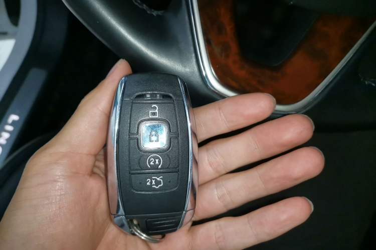 Used Lincoln MKZ 2019 2.0T Luxury Edition China VI Standard
