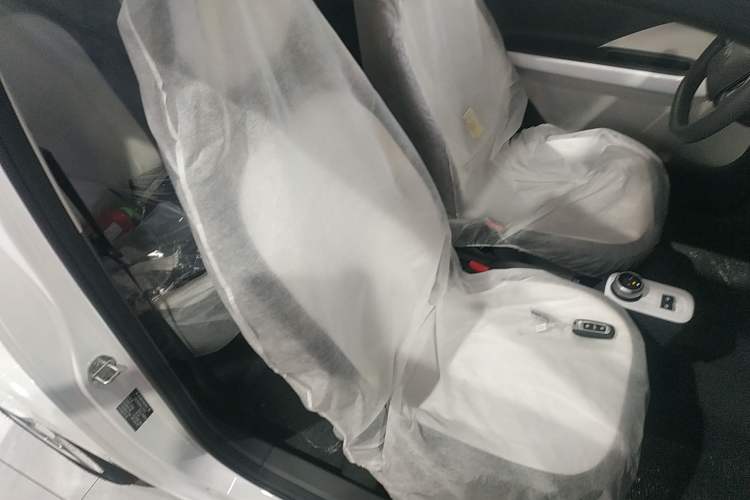 Used  Panda 2025 210 km – Yuanqi Bear
