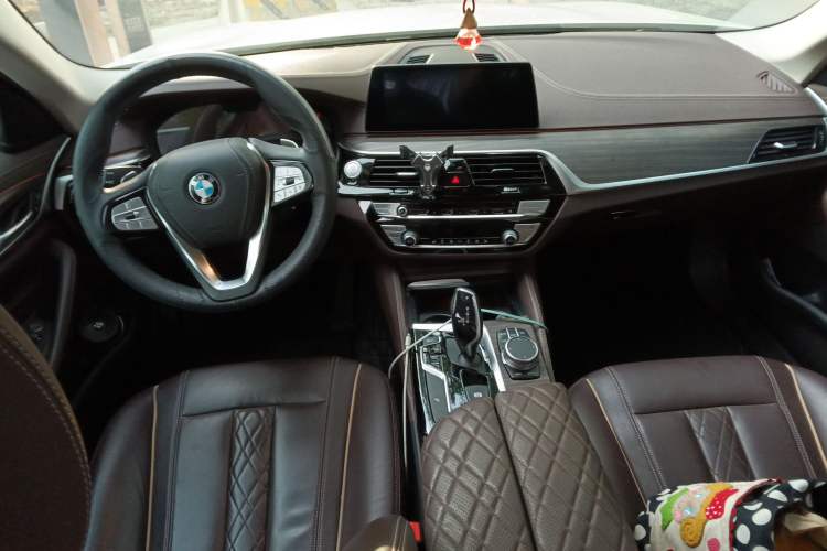 Used BMW 5 Series 2020 530Li Leading Edition Luxury Package
